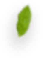 slider-layer8